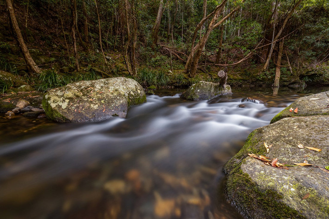 Tranquility - Bellingen NSW