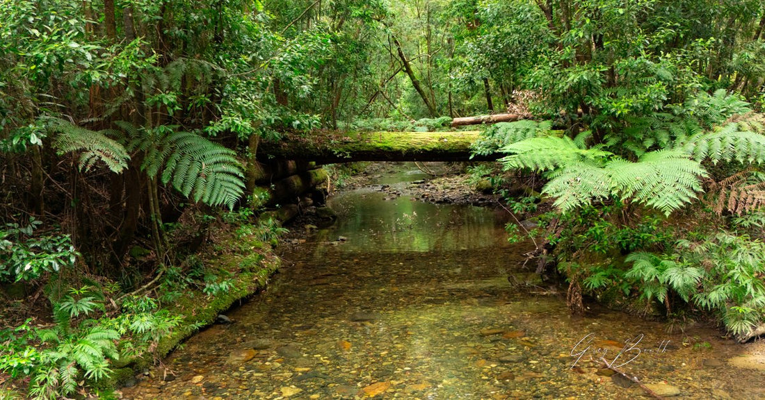 Urumbilum creek bridge