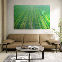 6616ab8ed8c3c268632d0a1d_wall-agricultural-patterns-ii-hay-plains_1770601139970.jpg