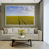 6616ab8ed8c3c268632d0a1d_wall-golden-canola-fields-ii-temora_1771743675150.jpg