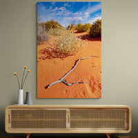 6616ab8ed8c3c268632d0a1d_wall-outback-wildflowers-ii-cameron-corner_1771746370127.jpg