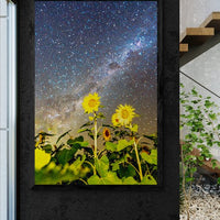 6616ab8ed8c3c268632d0a1d_wall-sunflowers-under-the-stars-quirindi_1771745626200.jpg