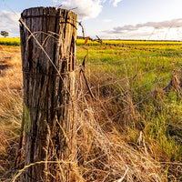 6616ab8ed8c3c268632d0a1d_web-old-fence-post-temora_1771744134735.jpg