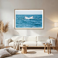 6616ab8ed8c3c268632d0a1d_whale-tail-at-manly-nsw-wood-frame_1765689881084.jpg