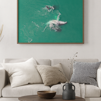 6616ab8ed8c3c268632d0a1d_whales-4_1768025709589.png