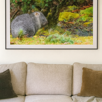 6616ab8ed8c3c268632d0a1d_wombat_1765528700495.png