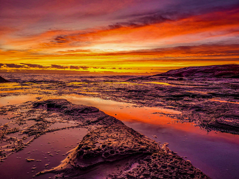 Beautiful colours at the Terrigal rockpools #5