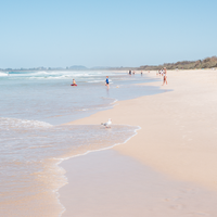 Dream Beach