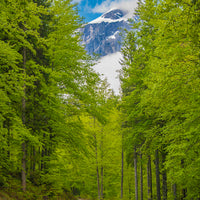 LAGHI DI FUSINE, ITALY