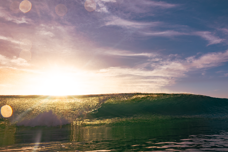 Narrabeen Wave