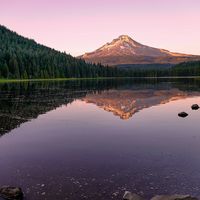 Reflections At The Lake