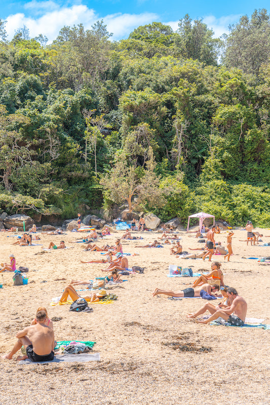 SHELLY BEACH | SUMMER VIBES