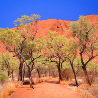 THE HEART OF AUSTRALIA