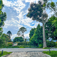 The Green Side of Antigua