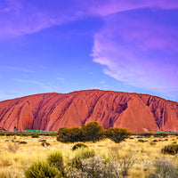 ULURU UNDER PURPLE SKY