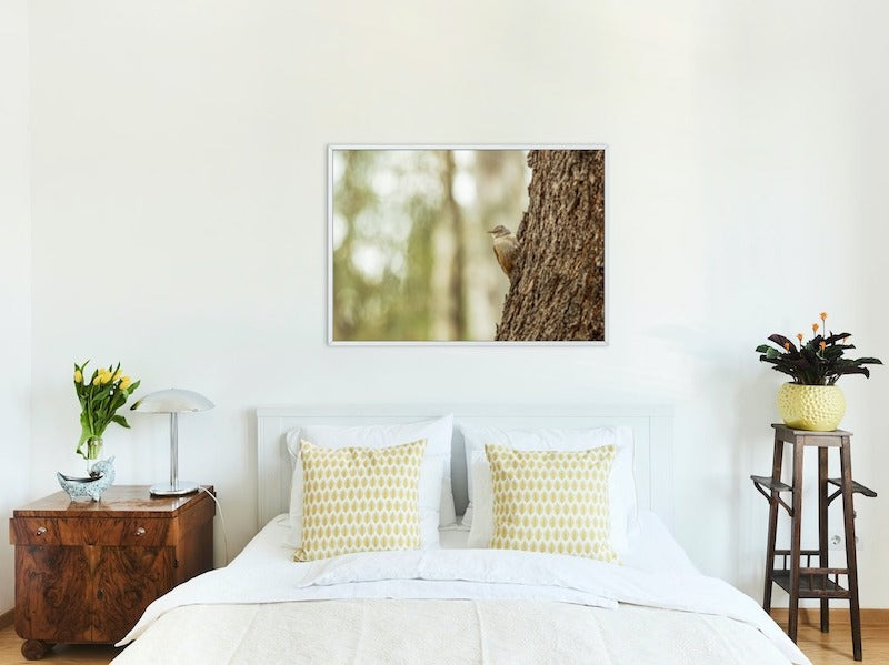 Brown Treecreeper on a Tree