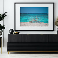HERON ISLAND BLUES