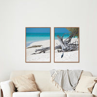 HERON ISLAND HERONS