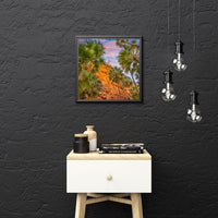 COLOURS OF EMMA GORGE