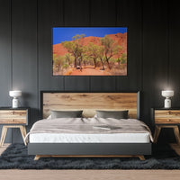 THE HEART OF AUSTRALIA