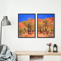 THE HEART OF AUSTRALIA