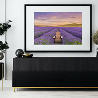 NEW ZEALAND LAVENDER
