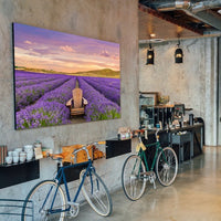 NEW ZEALAND LAVENDER