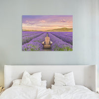 NEW ZEALAND LAVENDER