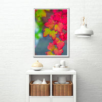 JAPAN AUTUMN LEAVES