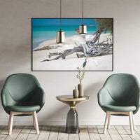 HERON ISLAND HERONS