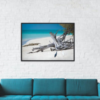 HERON ISLAND HERONS