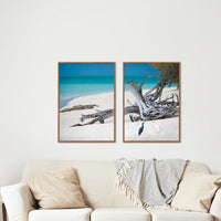 HERON ISLAND HERONS