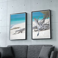 HERON ISLAND HERONS