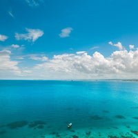 Paradise Blues