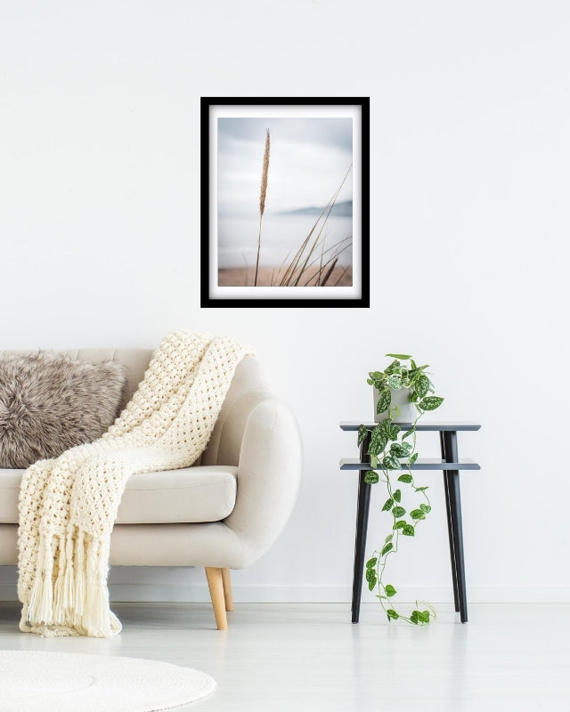 Beach vibes in the long grass