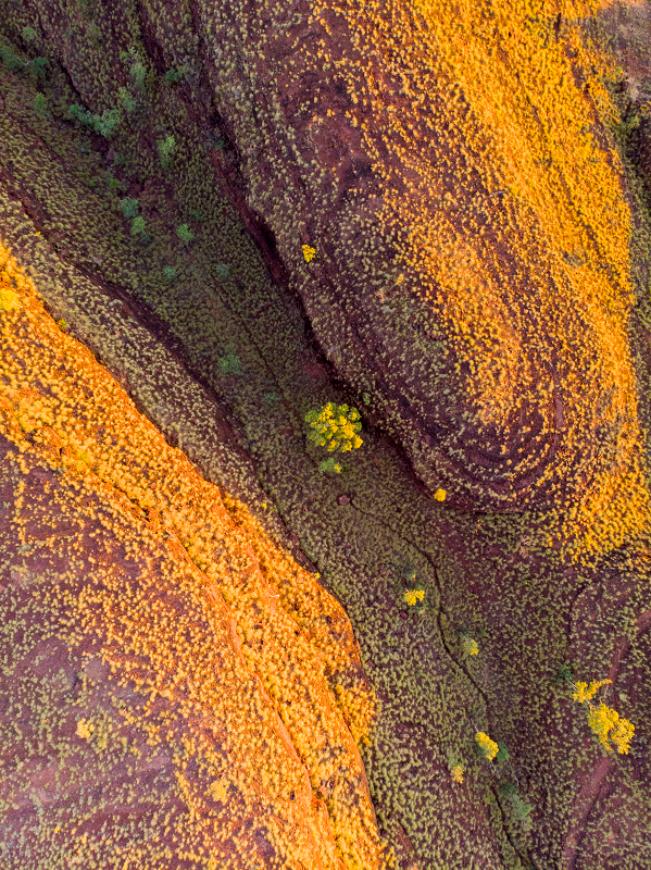 SUNSET ROCK | KUNUNURRA