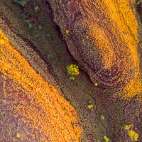 SUNSET ROCK | KUNUNURRA