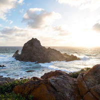 SUGARLOAF ROCK | NATURALISTE