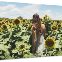 Sunflower Dream | New South Wales