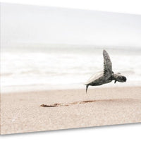Taking Flight