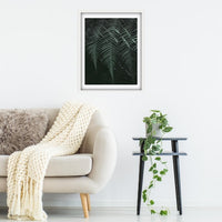 Lush moody set of Tassie Ferns