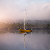Glow on the Huon River