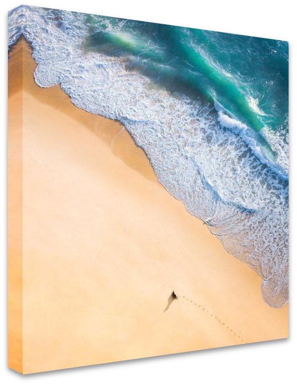 Dog Beach