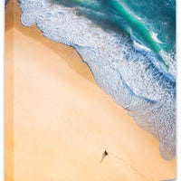 Dog Beach