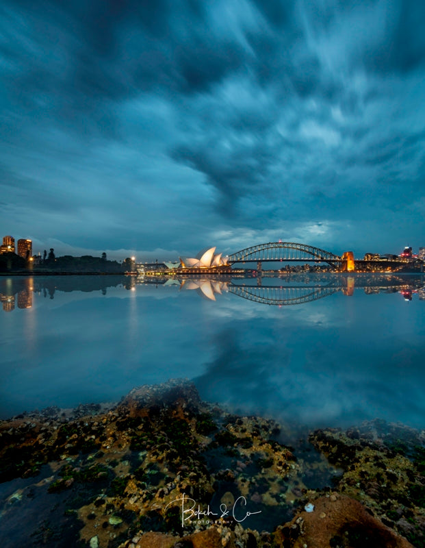 Mrs Macquaries Chair