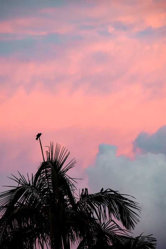 After the Storm
