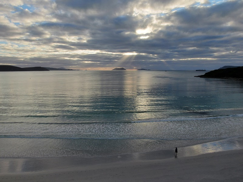 Albany Middleton Beach