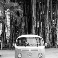 Aloha Kombi 1