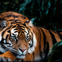 At Rest
