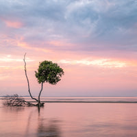 Beachmere